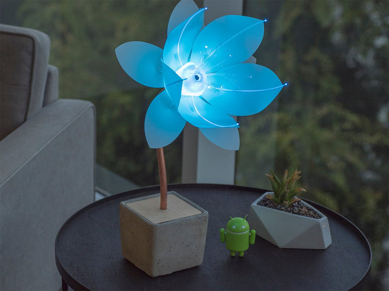 Expression Flower